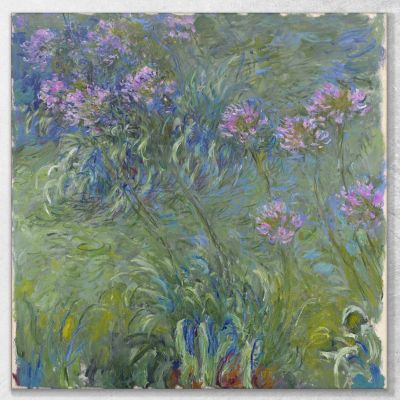 Fiori Di Agapanto Claude Monet mnt2 canvas print 