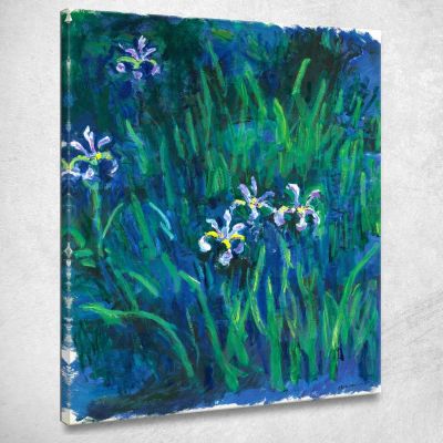 Iris 1914 Claude Monet mnt33 canvas print 