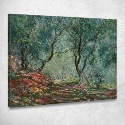 Olive Grove In The Moreno Garden Claude Monet mnt198 canvas print 