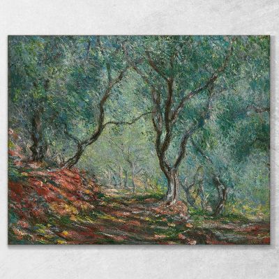 Olive Grove In The Moreno Garden Claude Monet mnt198 canvas print 