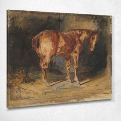 Study Of A Horse 2 Eugène Delacroix edx119 canvas print 