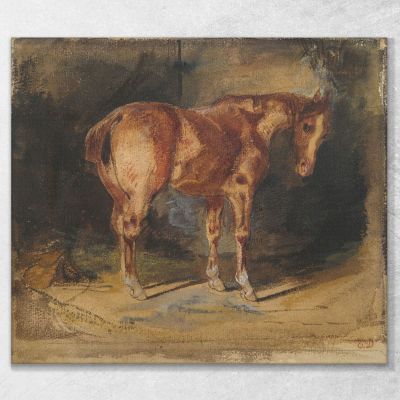 Study Of A Horse 2 Eugène Delacroix edx119 canvas print 