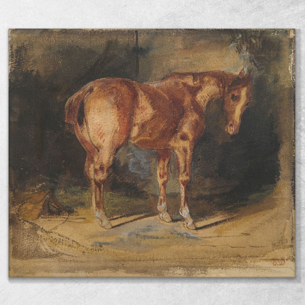 Study Of A Horse 2 Eugène Delacroix edx119 canvas print 