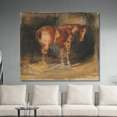 Study Of A Horse 2 Eugène Delacroix edx119 canvas print 