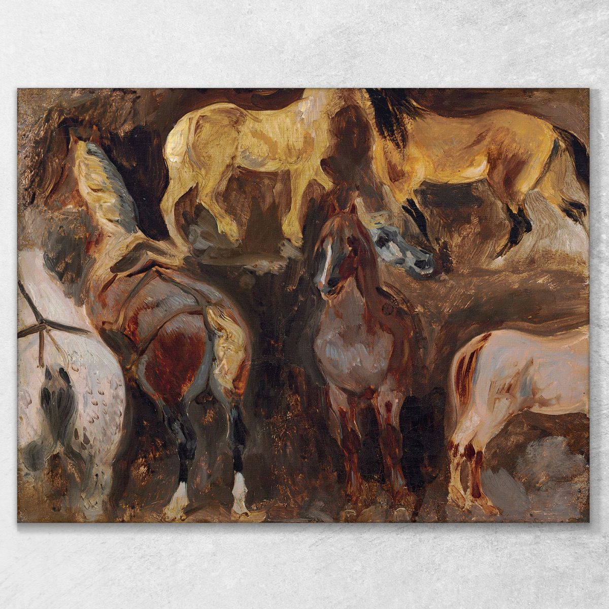 Horse Study Eugène Delacroix edx160 canvas print 