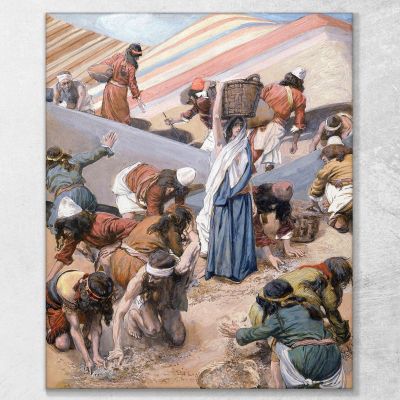 The Gathering Of The Manna James Tissot jts119 canvas print 