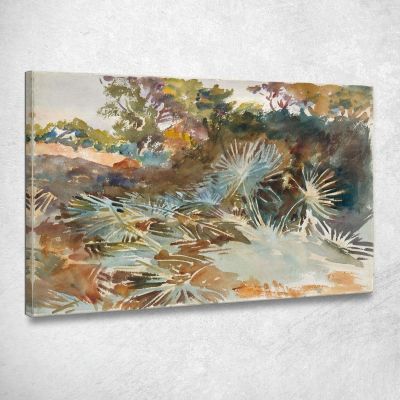 Landscape With Palmettos John Singer Sargent jss132 canvas print 