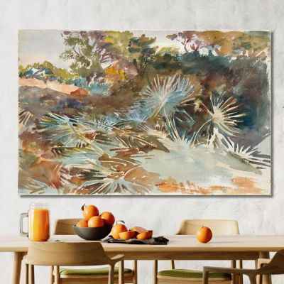 Landscape With Palmettos John Singer Sargent jss132 canvas print 