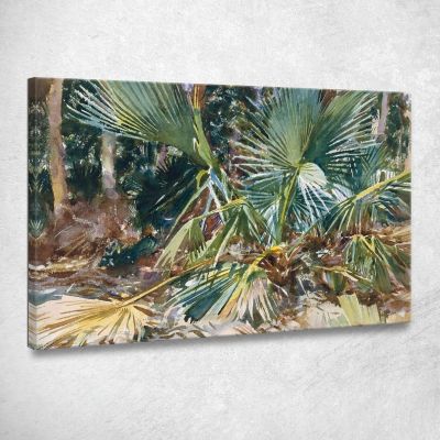 Palmettos John Singer Sargent jss212 canvas print 