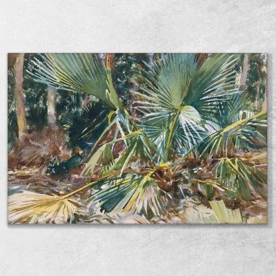 Palmettos John Singer Sargent jss212 canvas print 