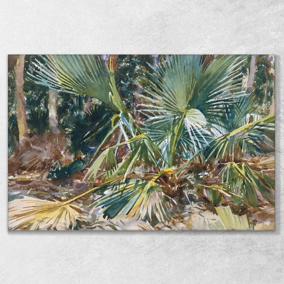 Palmettos John Singer Sargent jss212 canvas print 