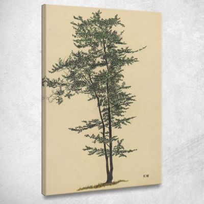 Untitled Deciduous Tree 2 Karl Wiener kwn557 canvas print 