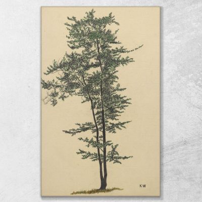 Untitled Deciduous Tree 2 Karl Wiener kwn557 canvas print 