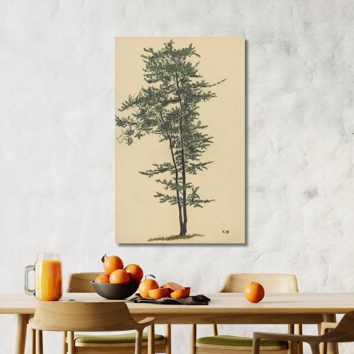 Untitled Deciduous Tree 2 Karl Wiener kwn557 canvas print 