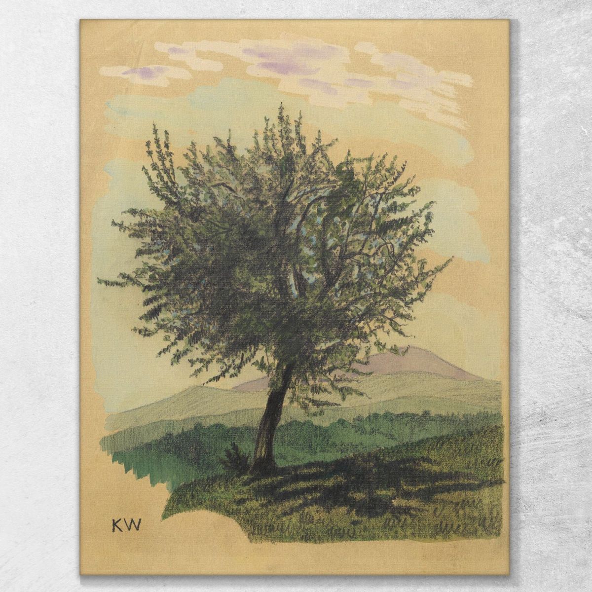 Untitled Deciduous Tree In Landscape Karl Wiener kwn558 canvas print 