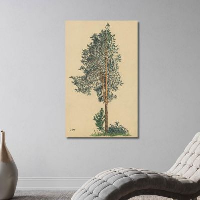 Untitled Conifer I Karl Wiener kwn566 canvas print 