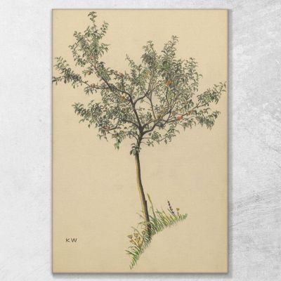 Untitled Fruit Tree Karl Wiener kwn575 canvas print 