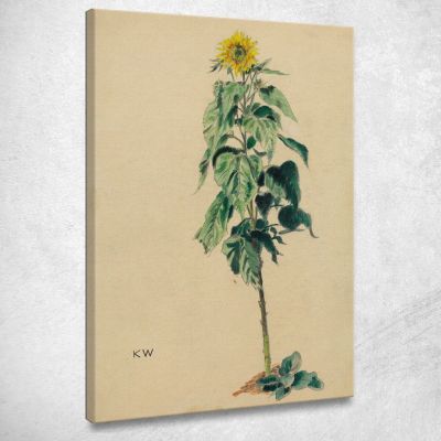 Sunflower Karl Wiener kwn667 canvas print 