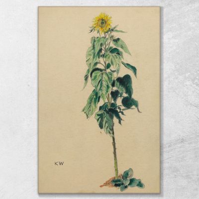 Sunflower Karl Wiener kwn667 canvas print 