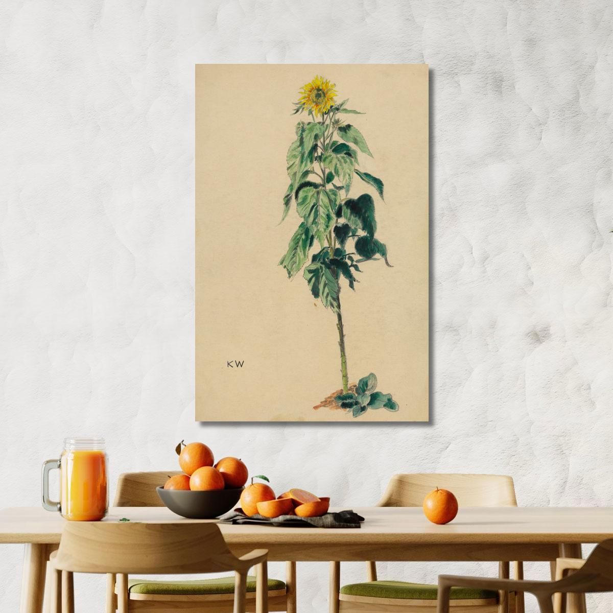 Sunflower Karl Wiener kwn667 canvas print 