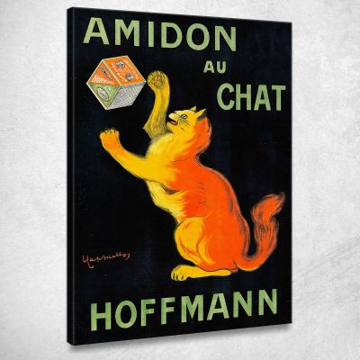 Cat Starch Leonetto Cappiello lcp4 canvas print 