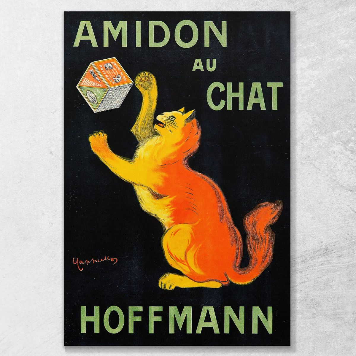 Cat Starch Leonetto Cappiello lcp4 canvas print 