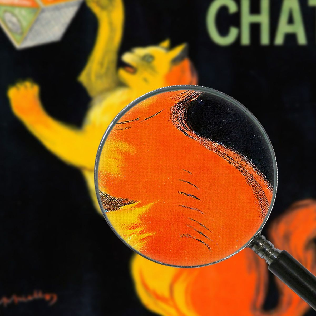 Cat Starch Leonetto Cappiello lcp4 canvas print