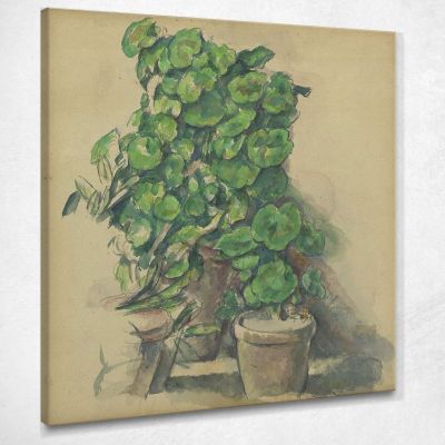 Geraniums Paul Cézanne pcz28 canvas print 