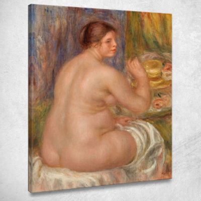 Nude From The Back Nu De Dos Pierre-Auguste Renoir par363 canvas print 