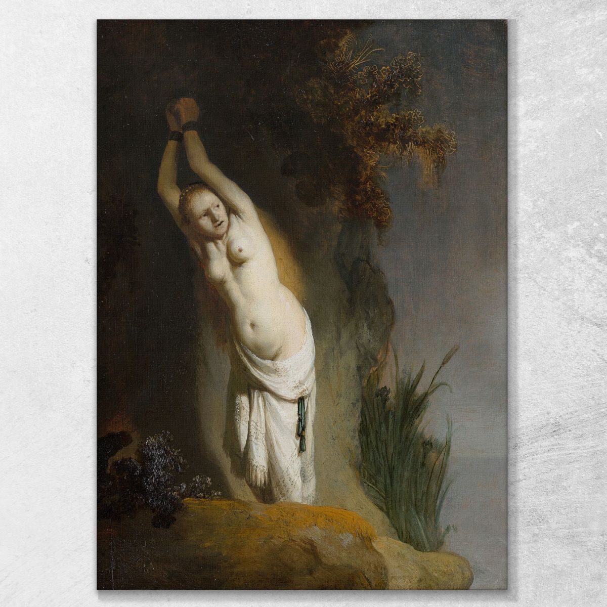Andromeda Rembrandt van Rijn rvr21 canvas print 