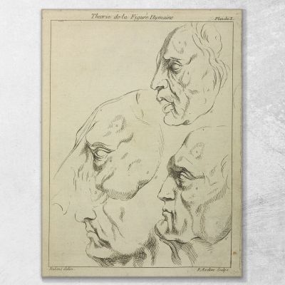 Four Faces Three Human One Horse In Profile Peter Paul Rubens ppr74 canvas print 