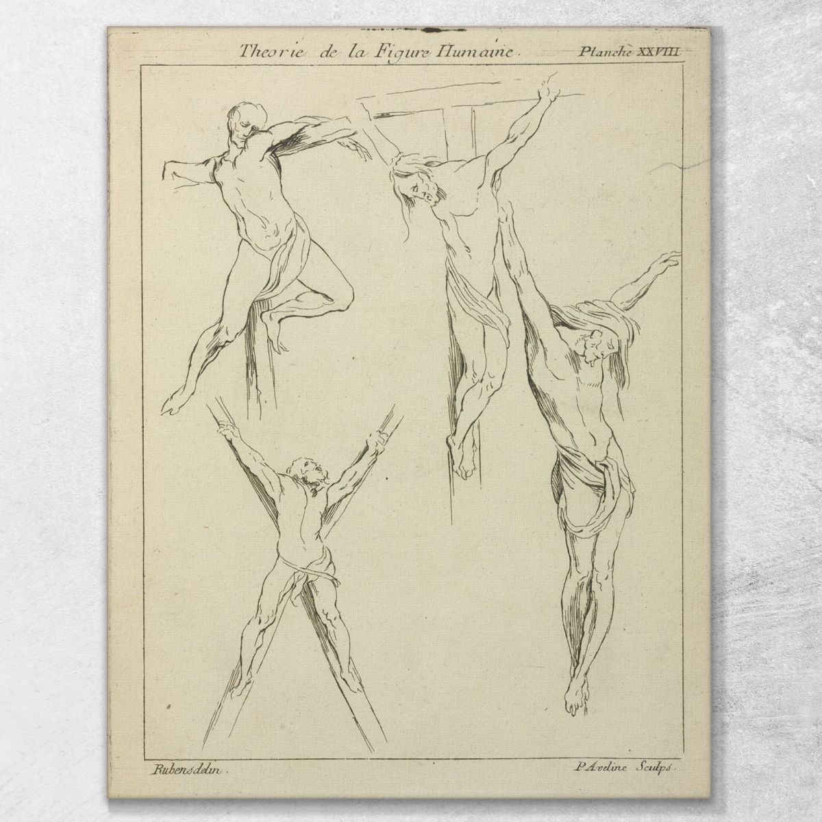 Four Studies Of Crucified Figures Peter Paul Rubens ppr77 canvas print 