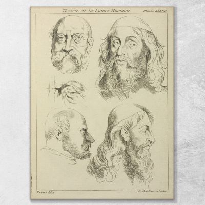 Four Studies Of Men'S Heads And An Eye Peter Paul Rubens ppr78 canvas print 