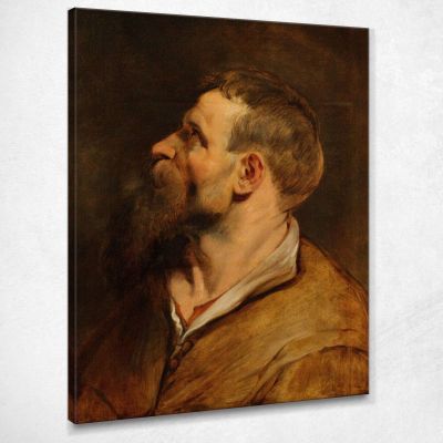 Head Of A Bearded Man Peter Paul Rubens ppr81 canvas print 