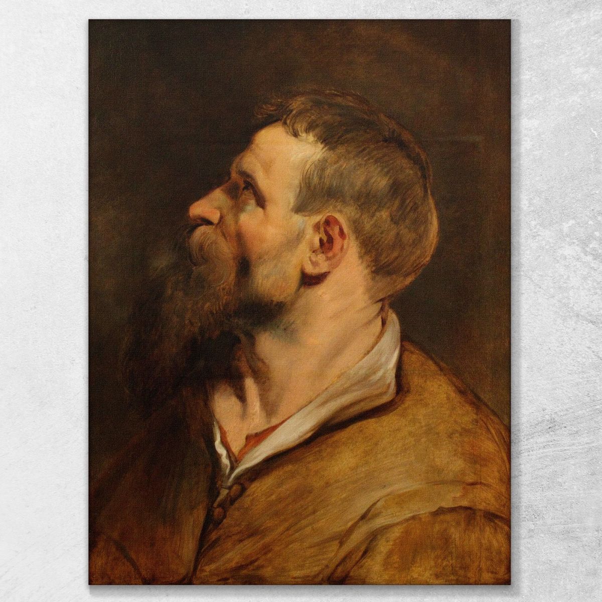 Head Of A Bearded Man Peter Paul Rubens ppr81 canvas print 
