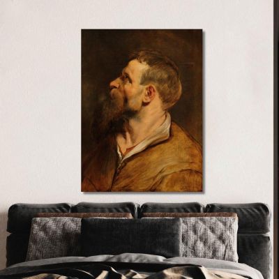 Head Of A Bearded Man Peter Paul Rubens ppr81 canvas print 