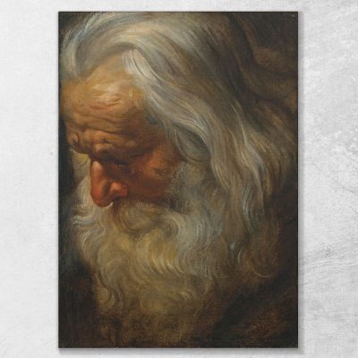 Head Study Of A Bearded Old Man Peter Paul Rubens ppr86 canvas print 