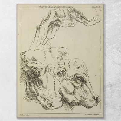 Heads And Necks Of Two Bovines Portion Of Neck Of A Third Peter Paul Rubens ppr87 canvas print 