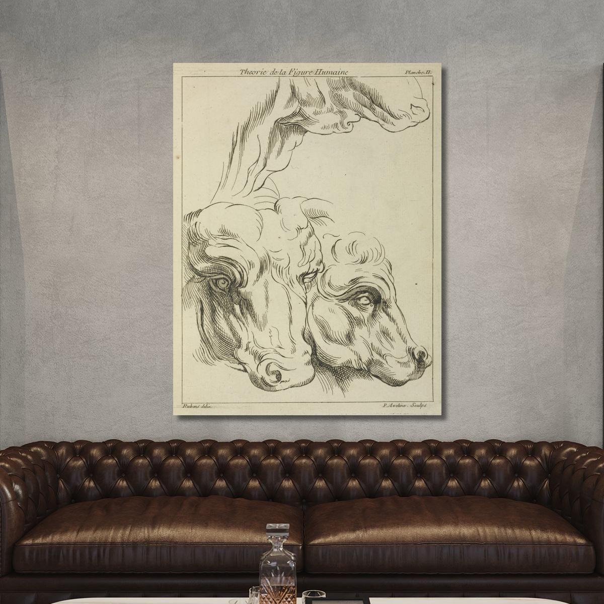 Heads And Necks Of Two Bovines Portion Of Neck Of A Third Peter Paul Rubens ppr87 canvas print 