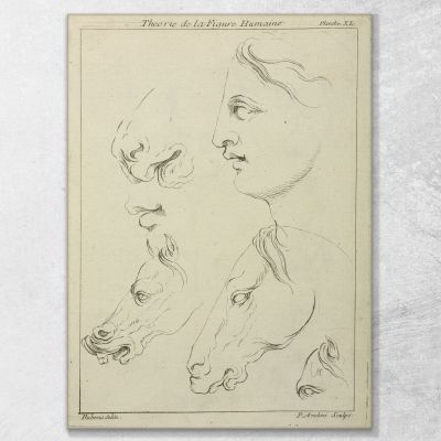 Horses Heads And Human Head In Profile Peter Paul Rubens ppr97 canvas print 