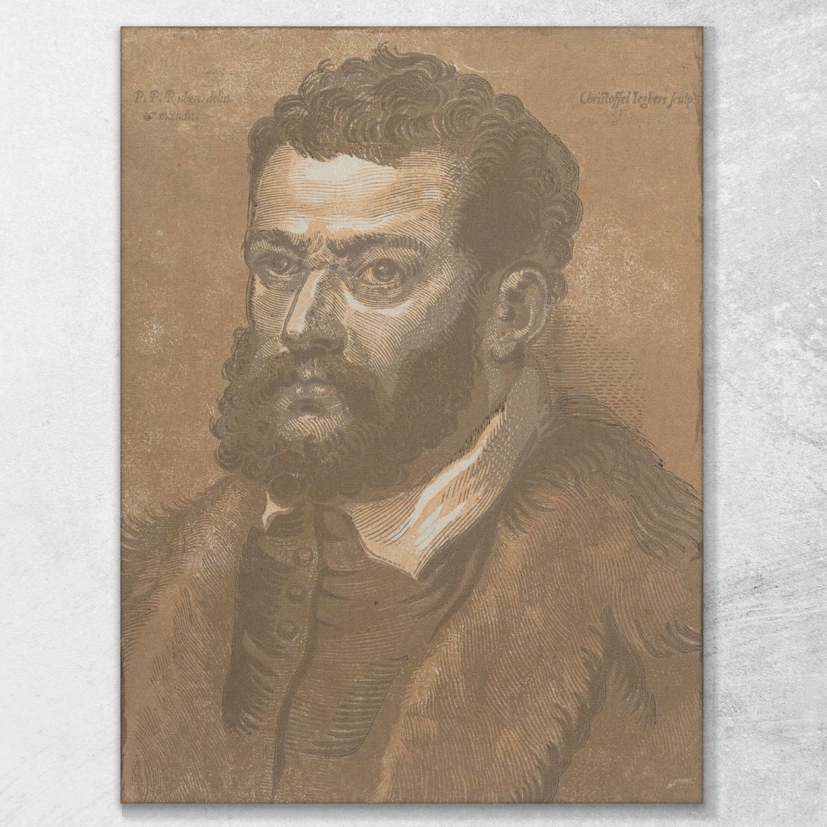Portrait Of A Man Peter Paul Rubens ppr136 canvas print 