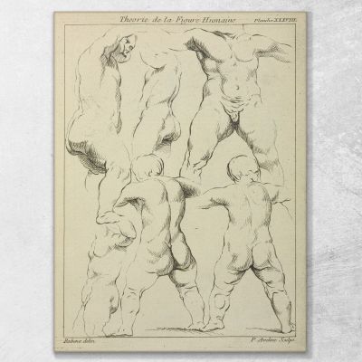 Studies Of Male Torsos Peter Paul Rubens ppr185 canvas print 