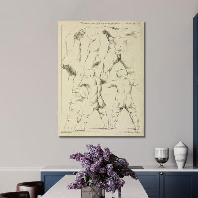 Studies Of Male Torsos Peter Paul Rubens ppr185 canvas print 
