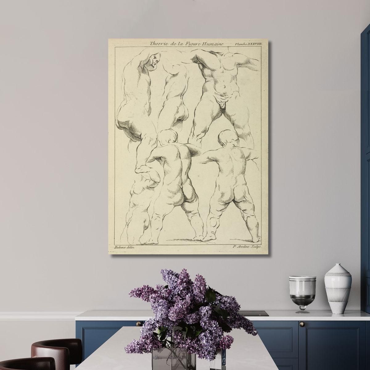 Studies Of Male Torsos Peter Paul Rubens ppr185 canvas print 