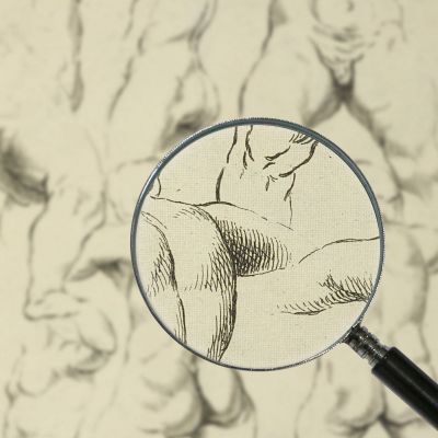 Studies Of Male Torsos Peter Paul Rubens ppr185 canvas print