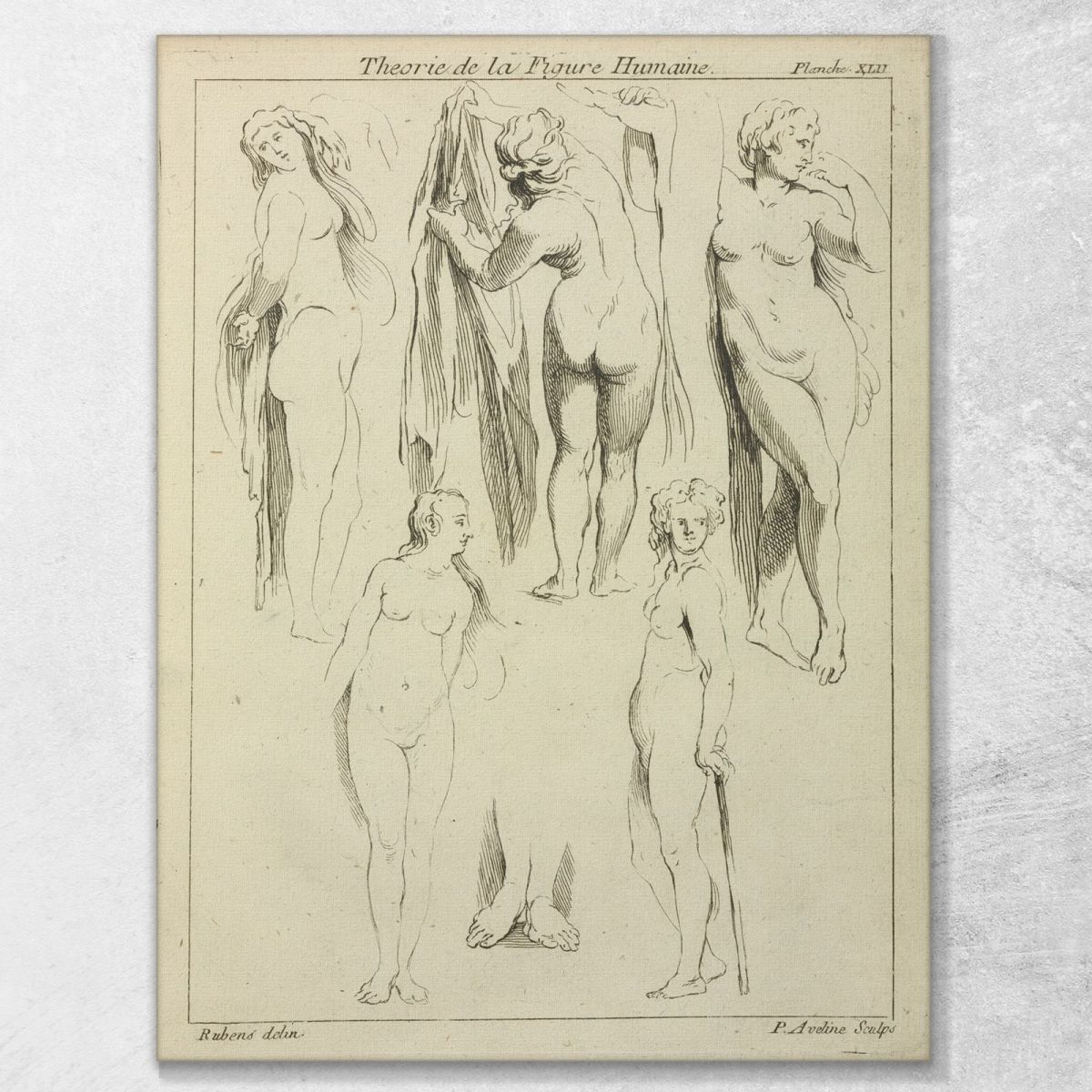 Studies Of Standing Female Nudes And A Pair Of Feet Peter Paul Rubens ppr186 canvas print 