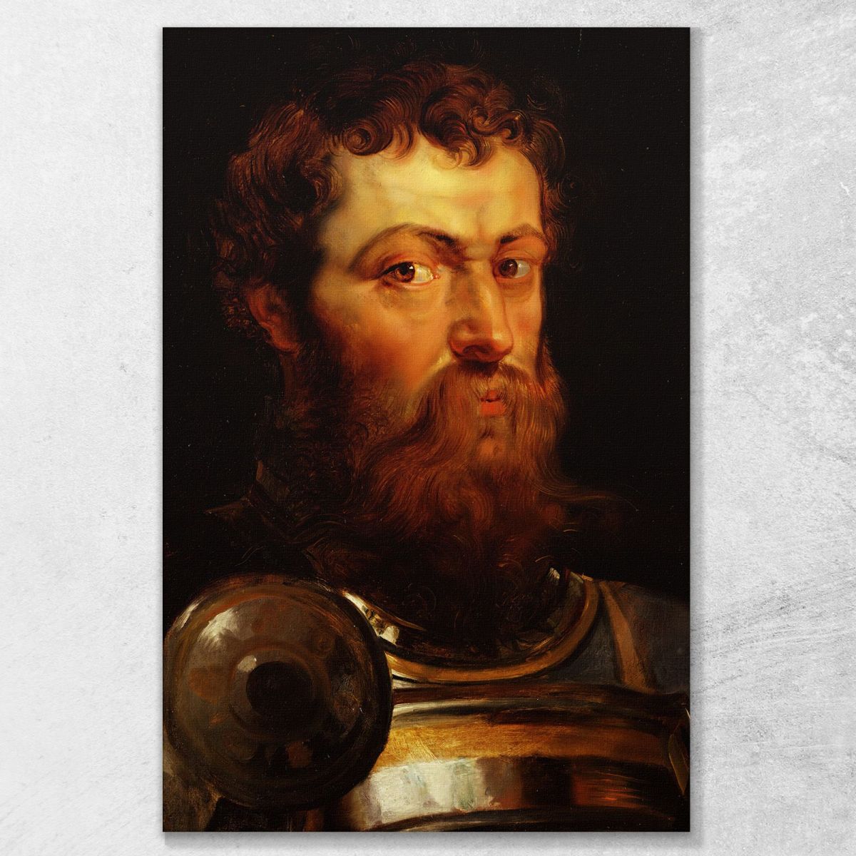 Warrior Peter Paul Rubens ppr322 canvas print 