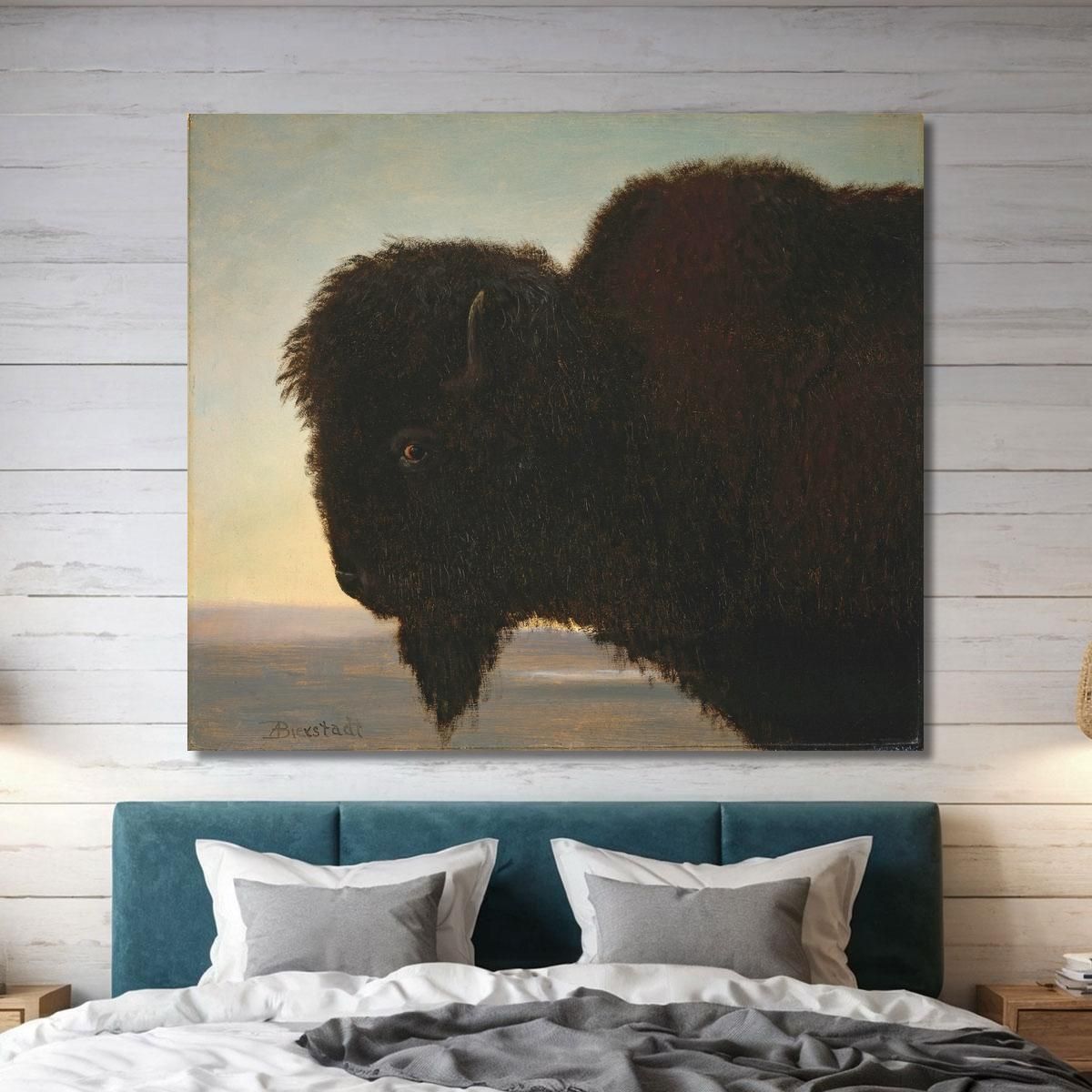 Buffalo Head Albert Bierstadt abr7 canvas print 