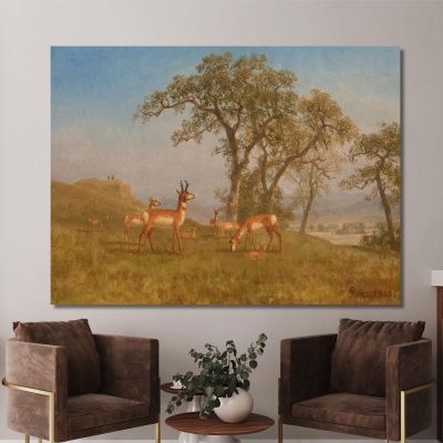 Grazing Antelope Albert Bierstadt abr30 canvas print 