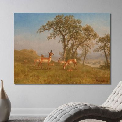 Grazing Antelope Albert Bierstadt abr30 canvas print 